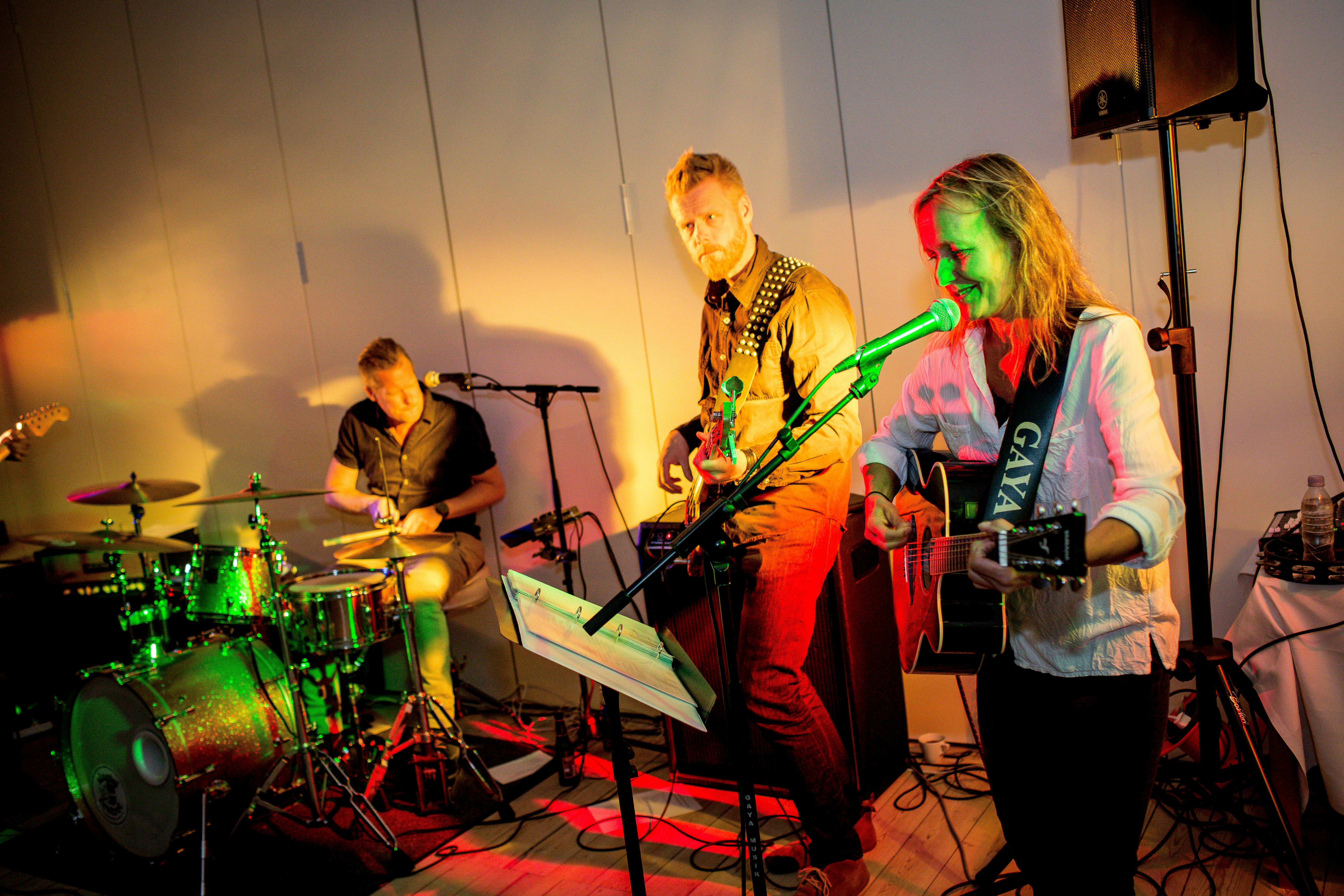 Crowd photo from show 2